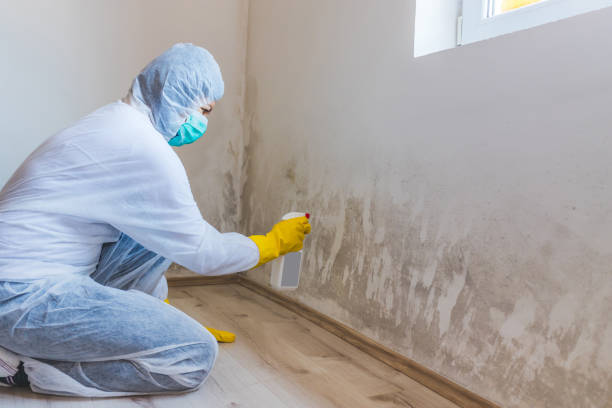 Mold Remediation specialist working in Englewood Cliffs